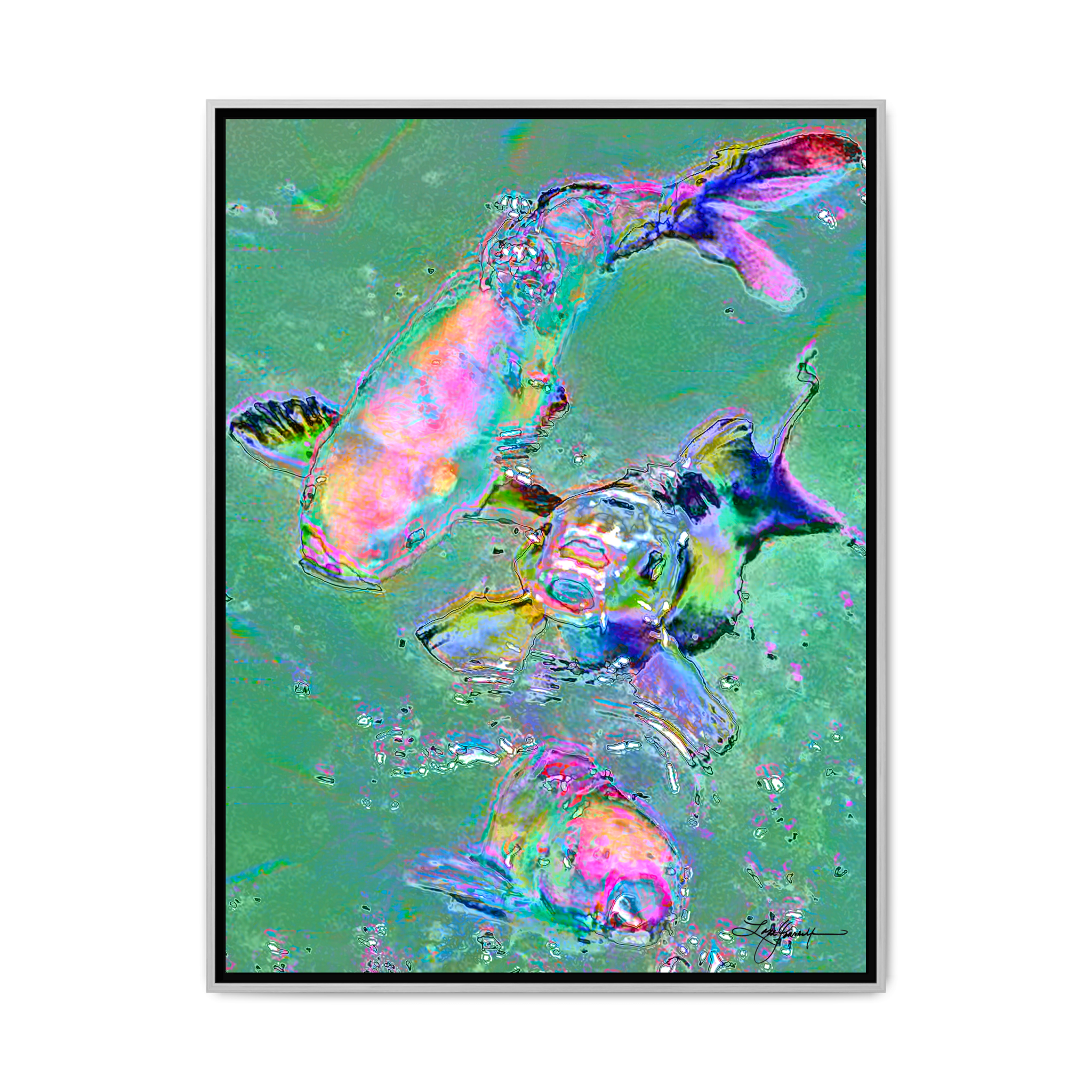 TBNC - My Store