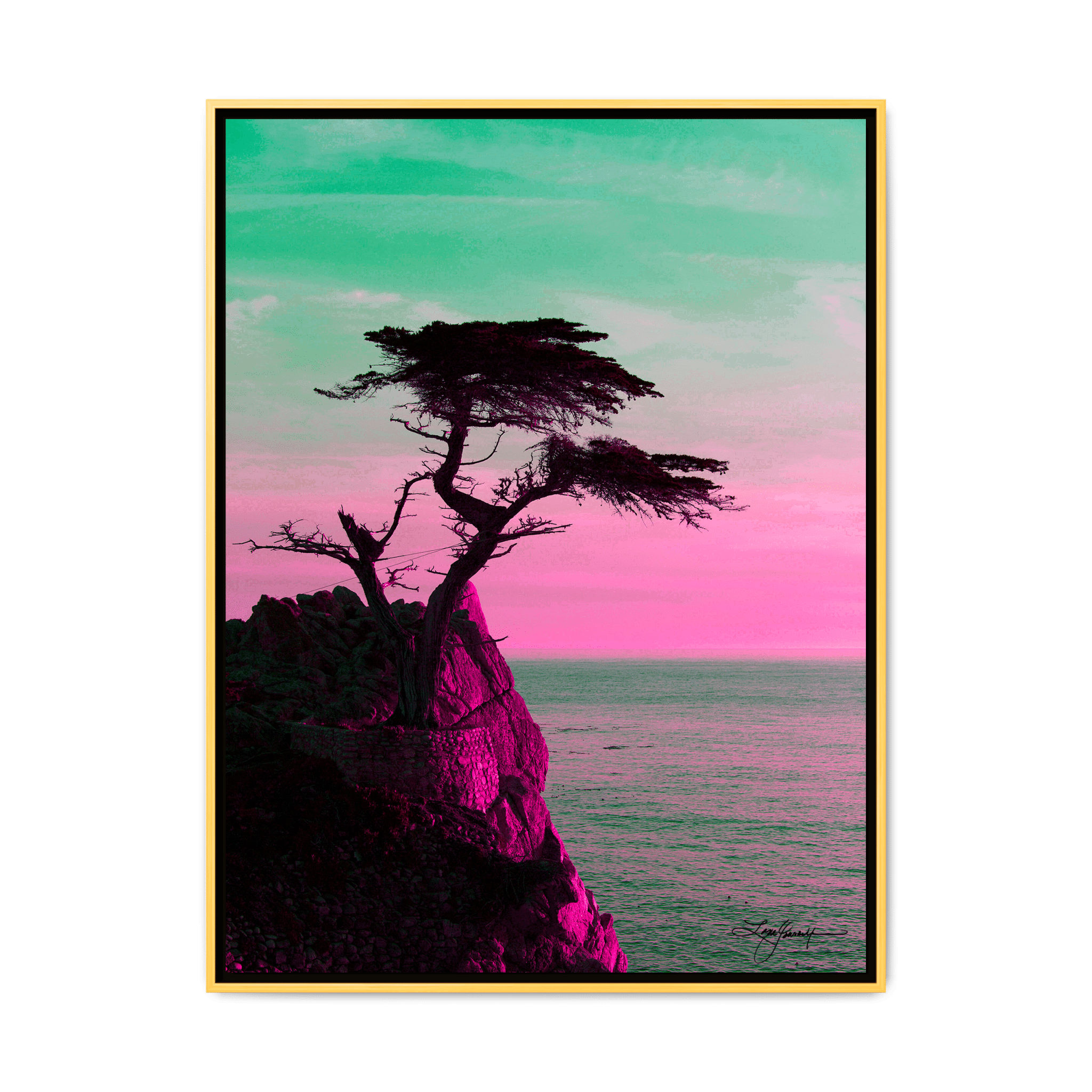 TBNE - My Store