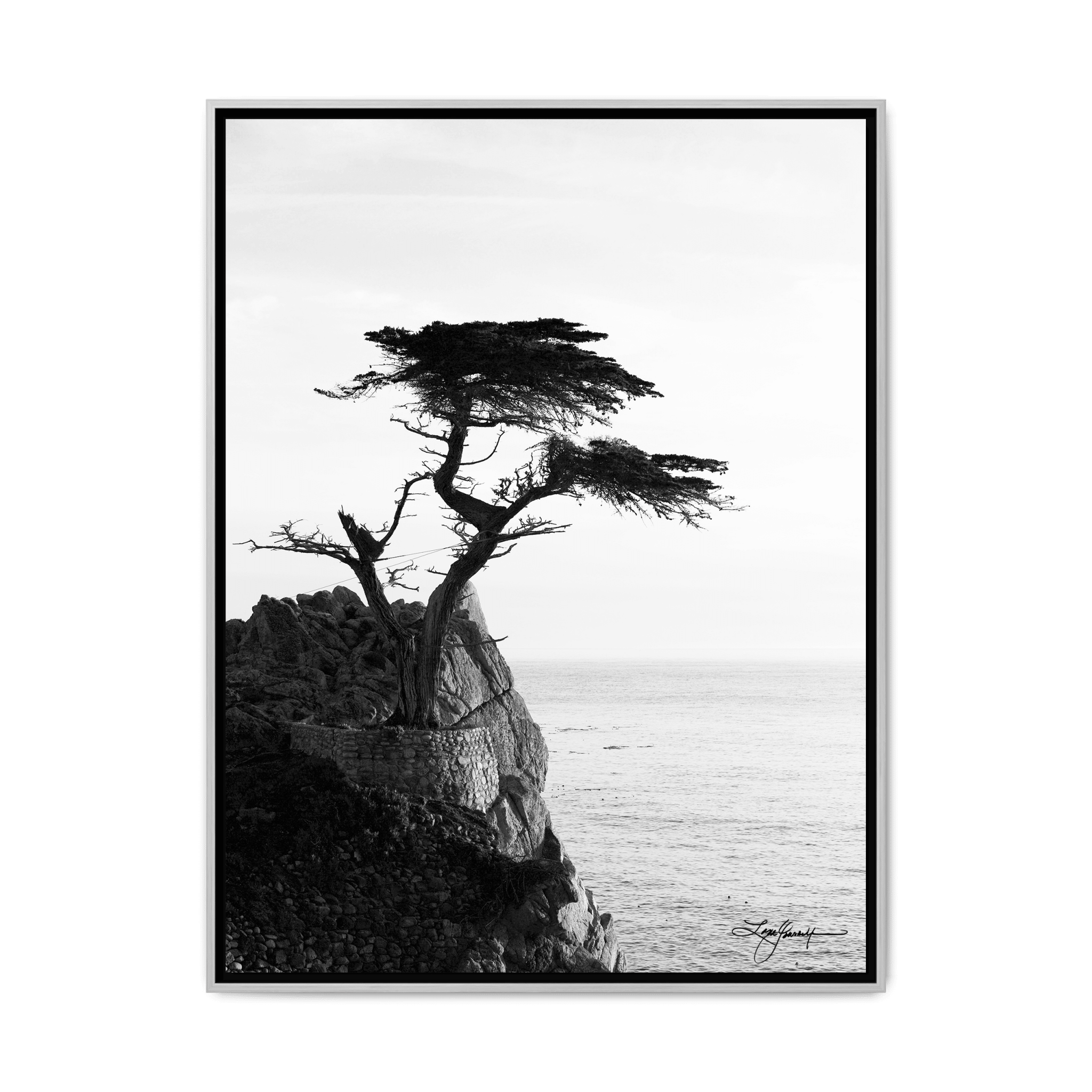 TBNE - My Store