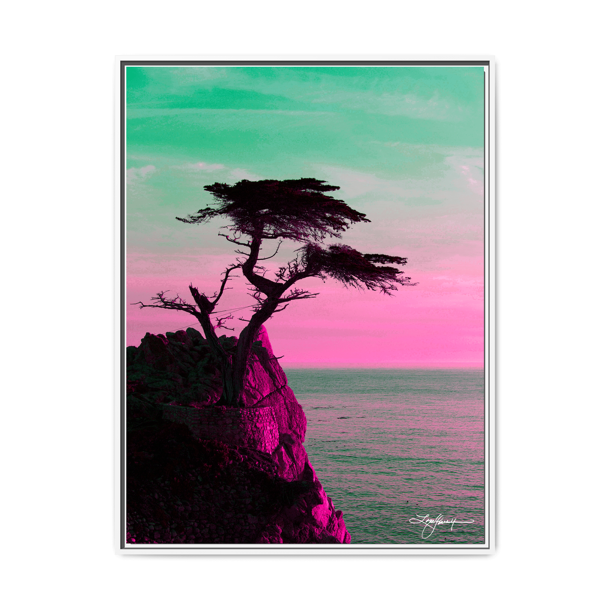 TBNE - My Store