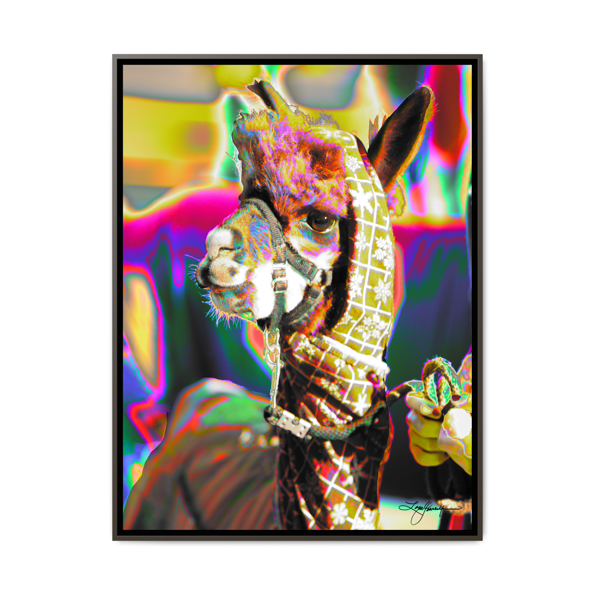 TBNF - My Store