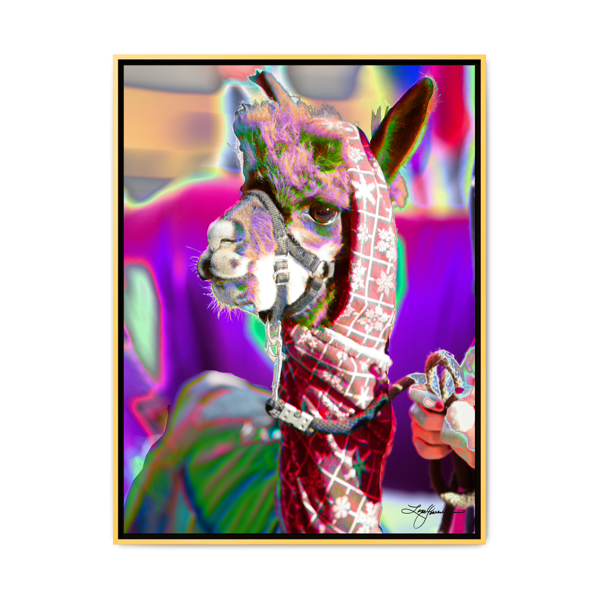 TBNF - My Store