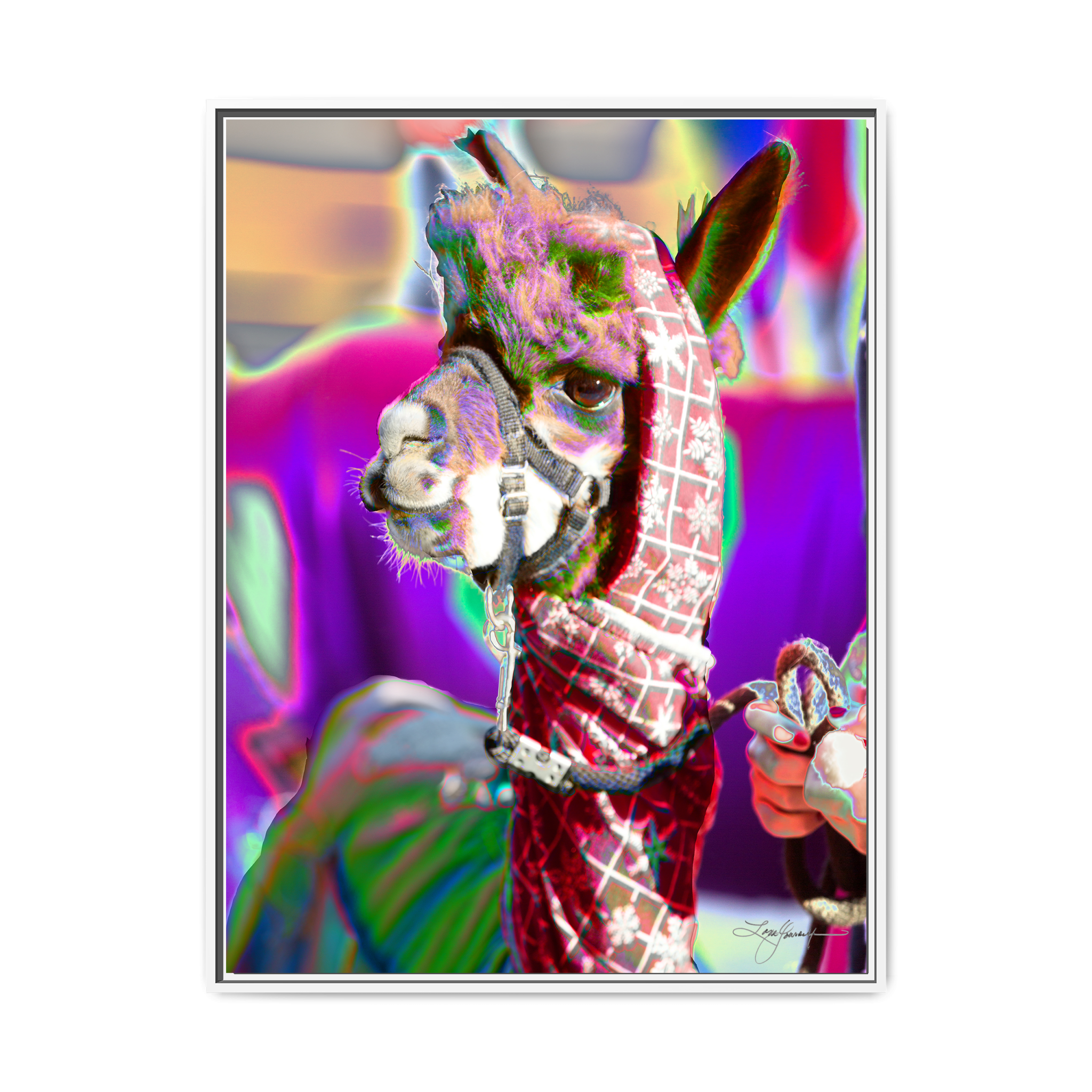 TBNF - My Store
