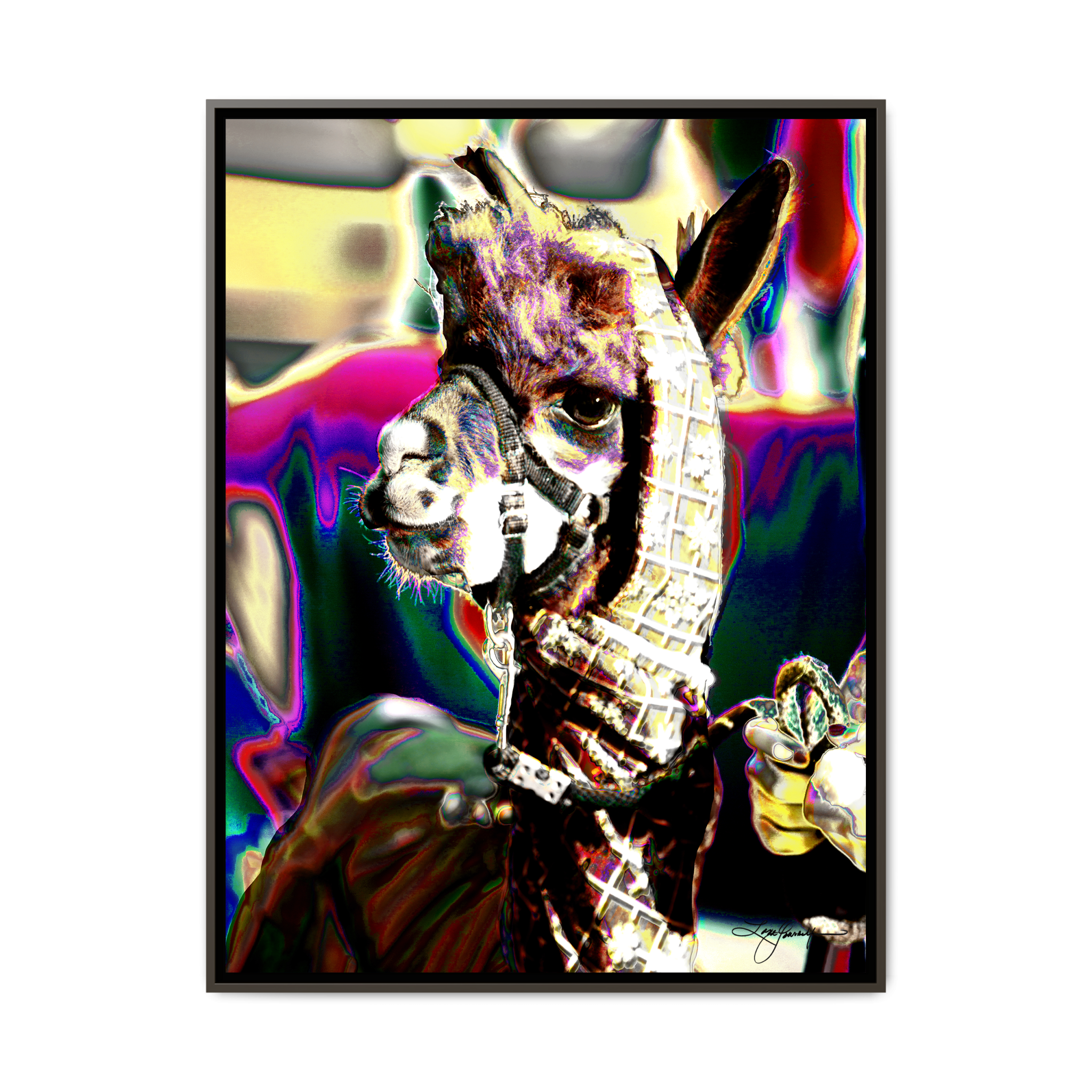 TBNF - My Store