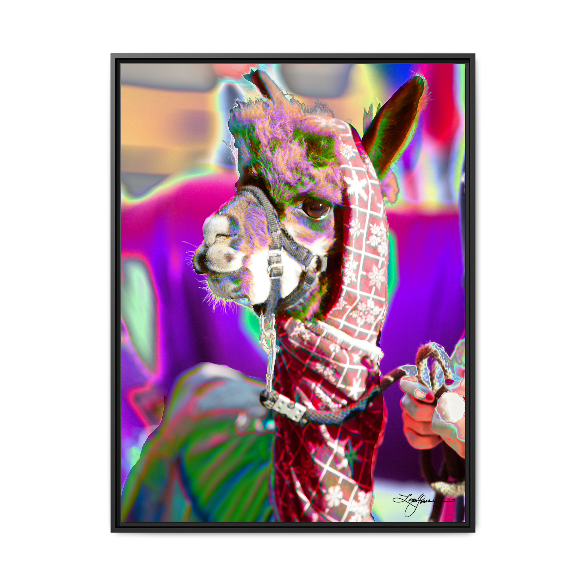 TBNF - My Store